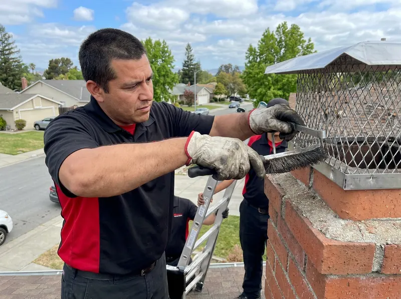Animal Removal & Spark Arrestor in Fremont, CA